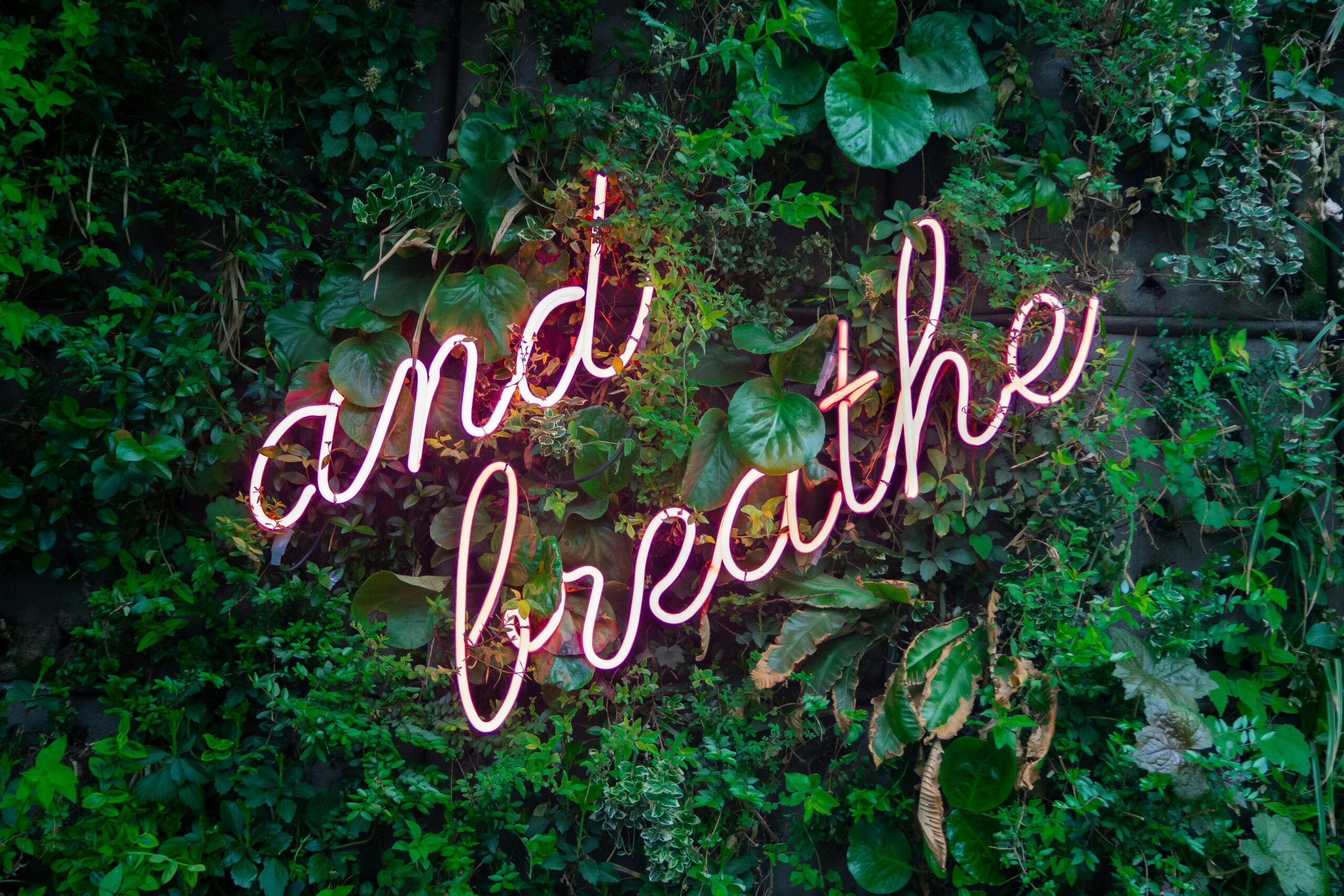 “and breathe” neon sign as a symbolisation of self-care